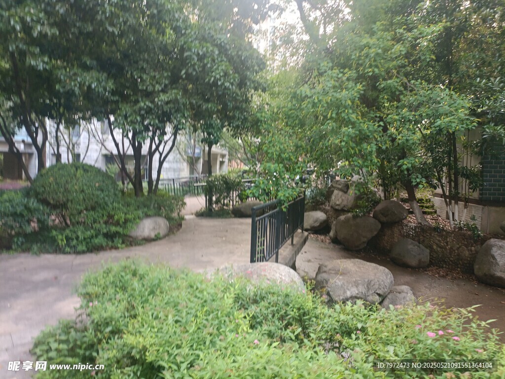 园林小径绿植环绕景致美