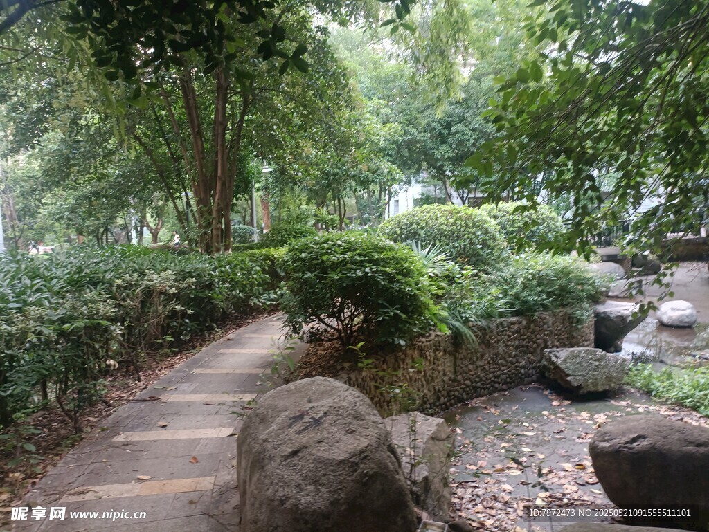 林间幽径 自然静谧景致