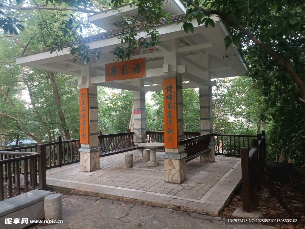 林中凉亭古朴景致