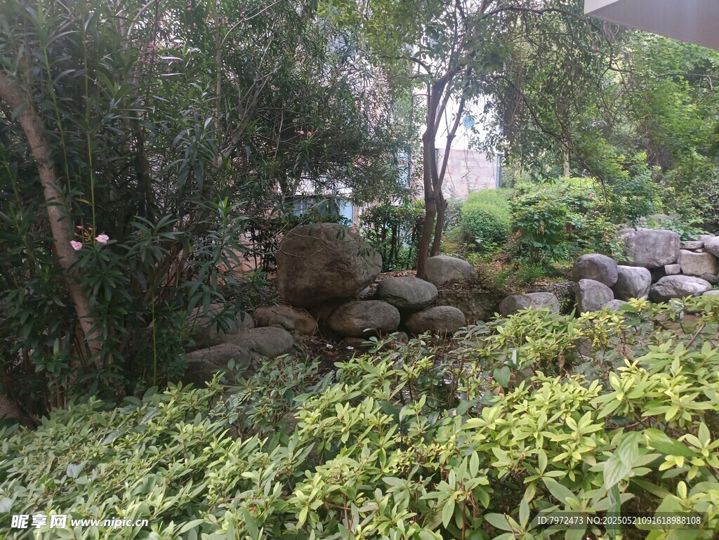 园林绿植与石景景观