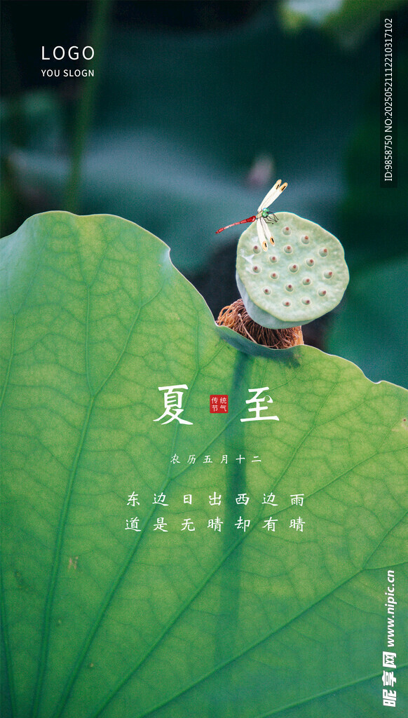 荷叶上的精致昆虫摆件