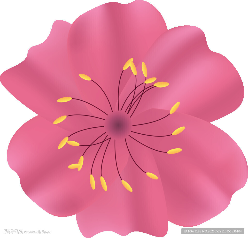 粉色花朵插画