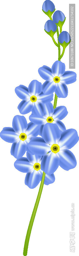 蓝色小花插画