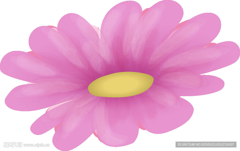 粉色雏菊花朵插画