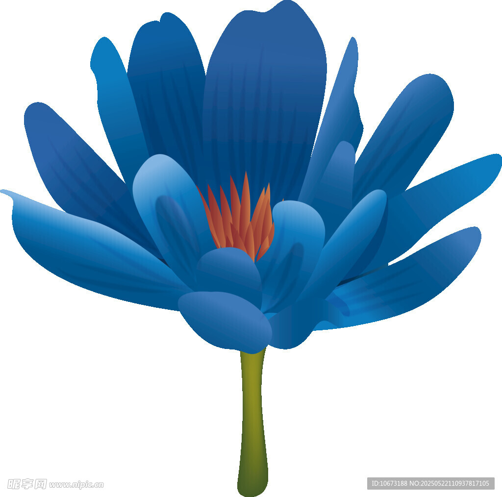 蓝色莲花插画