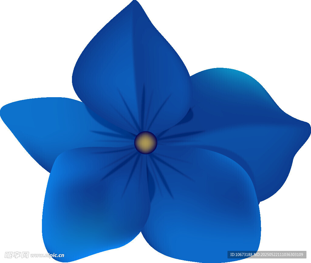 蓝色五瓣花插画