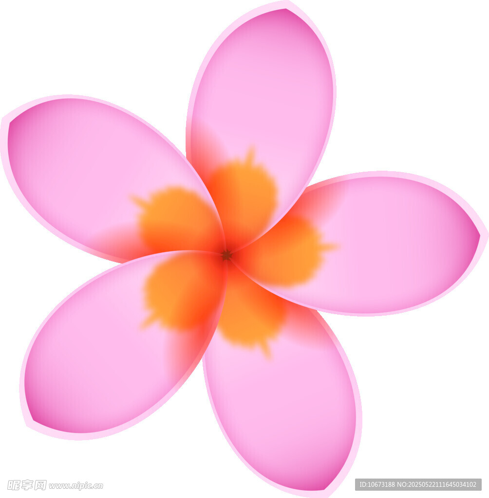 粉色鸡蛋花花朵图案