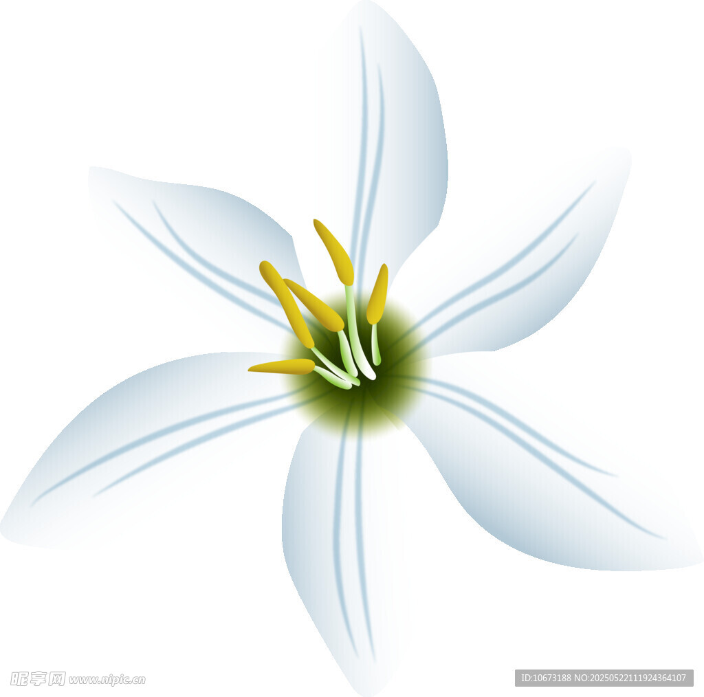 白色六瓣花插画图案