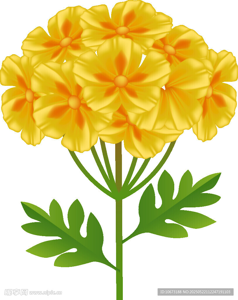 黄色花朵插画