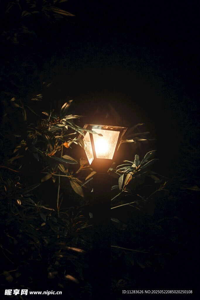 暗夜中透过枝叶的暖光