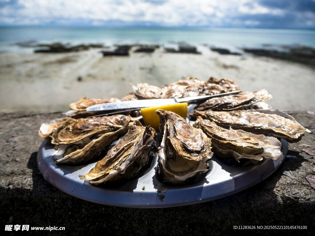 海边的美味生蚝拼盘