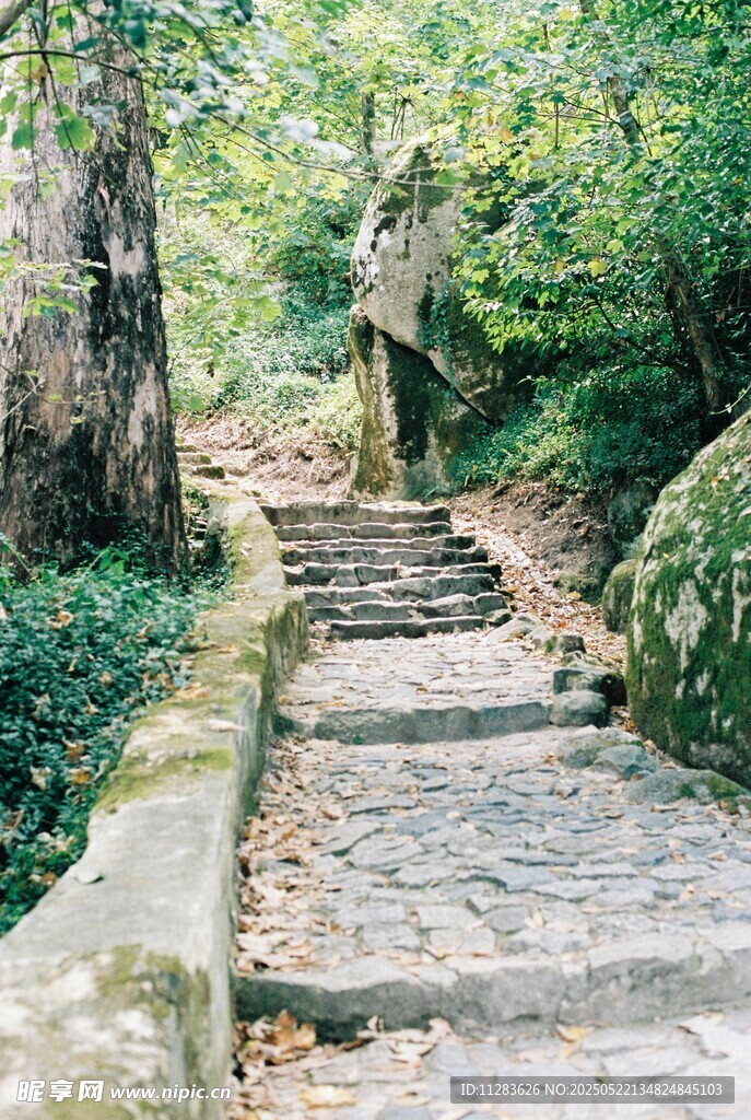 山间石阶小径 自然景致