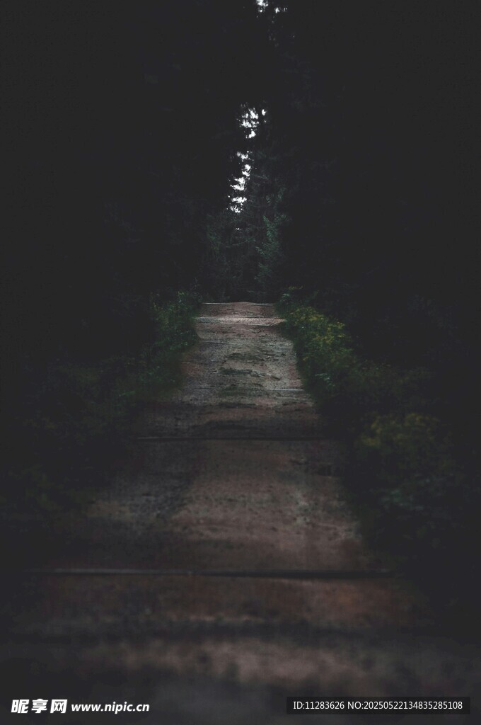 黑暗中延伸的神秘小路
