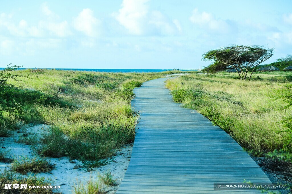 海边木栈道通向远方美景
