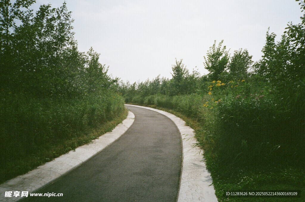 蜿蜒小路穿梭于绿植间