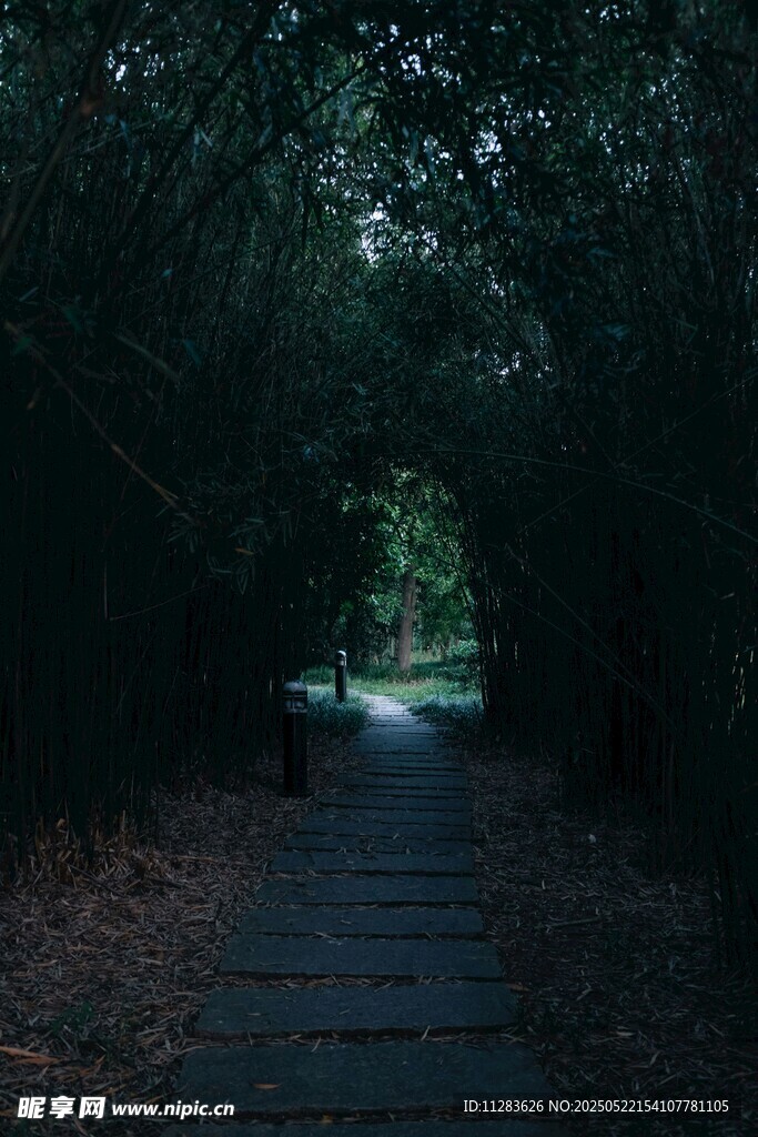 幽径深林 微光透影