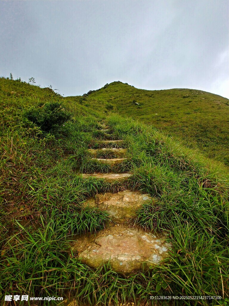 山间石阶小径绿意盎然