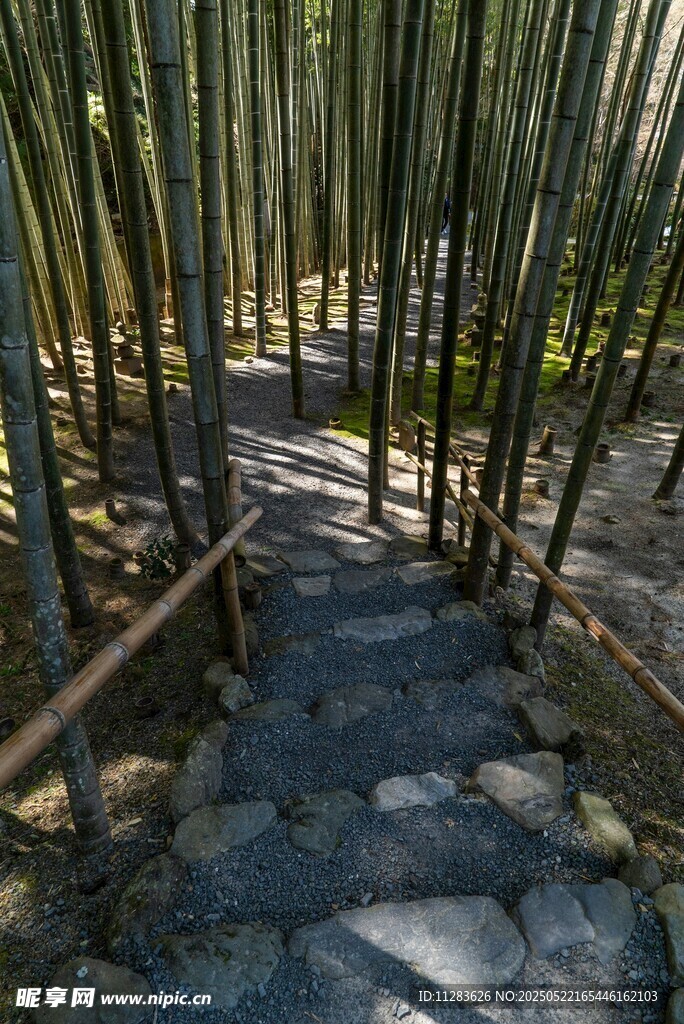竹林中的石板小径