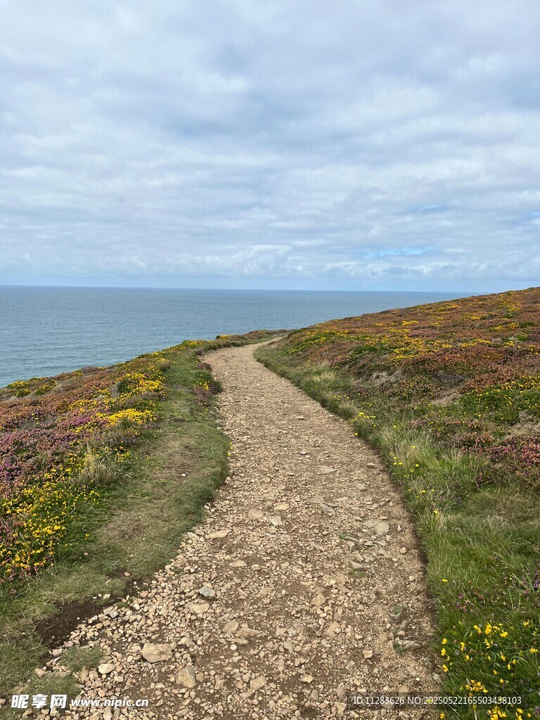 海边蜿蜒小径的自然美景