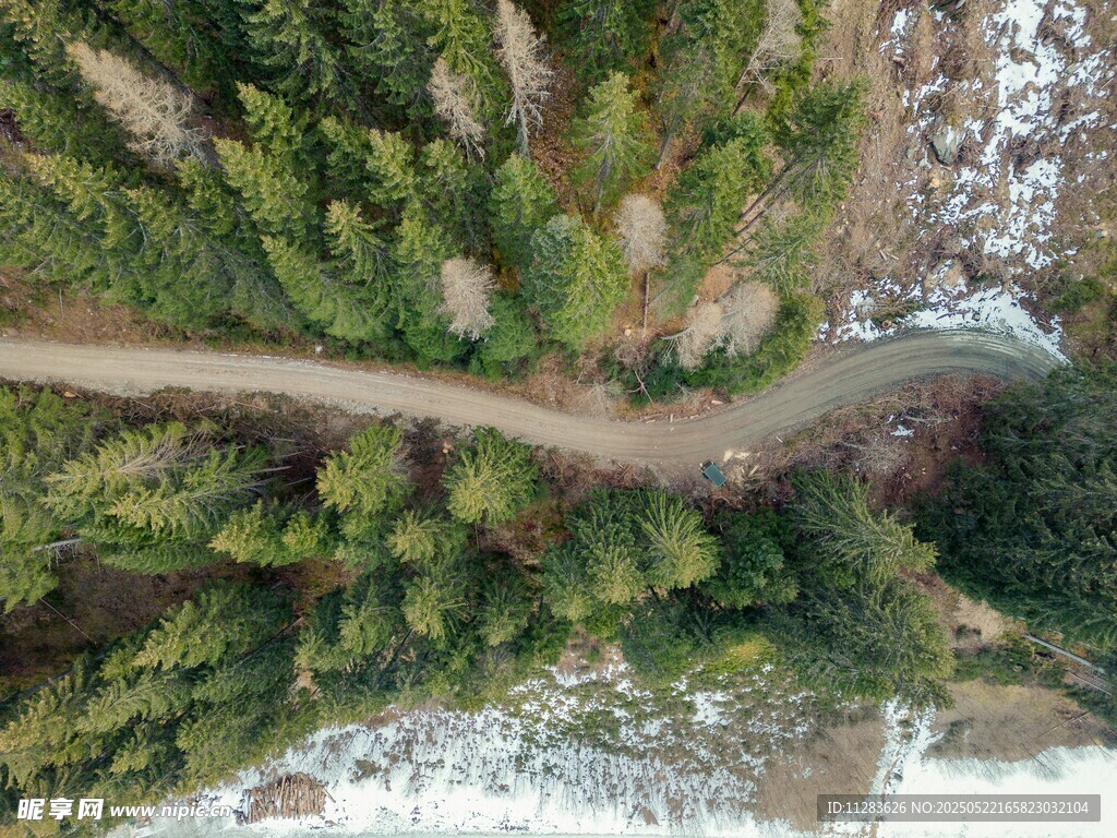 空中俯瞰林间蜿蜒小路