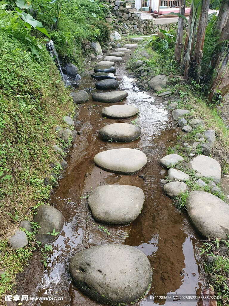 溪边石径 自然清新景致