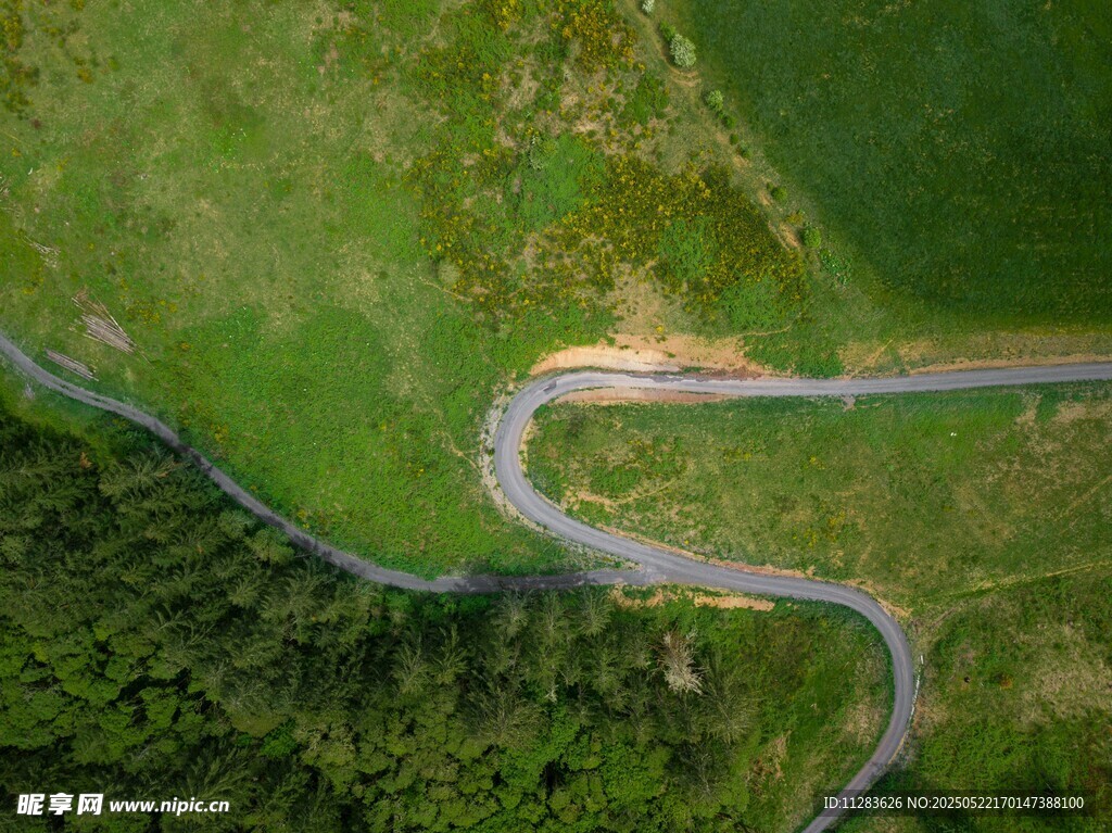 蜿蜒公路穿梭翠绿山林