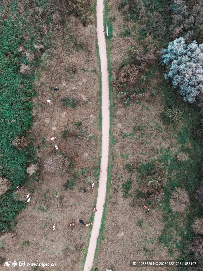 空中俯瞰蜿蜒乡间小路
