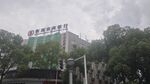 雨中的高楼与周边树木