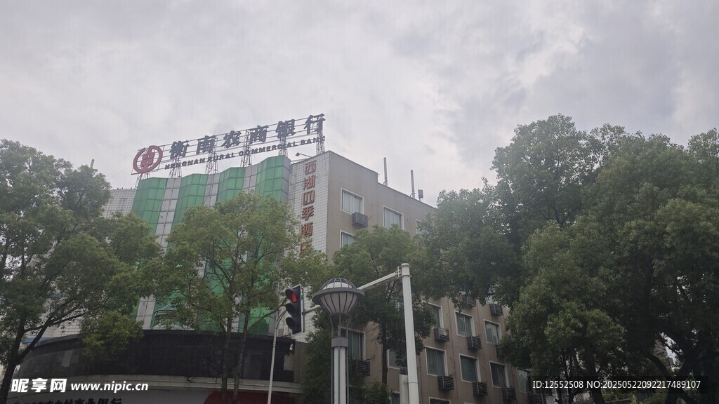 雨中的高楼与周边树木