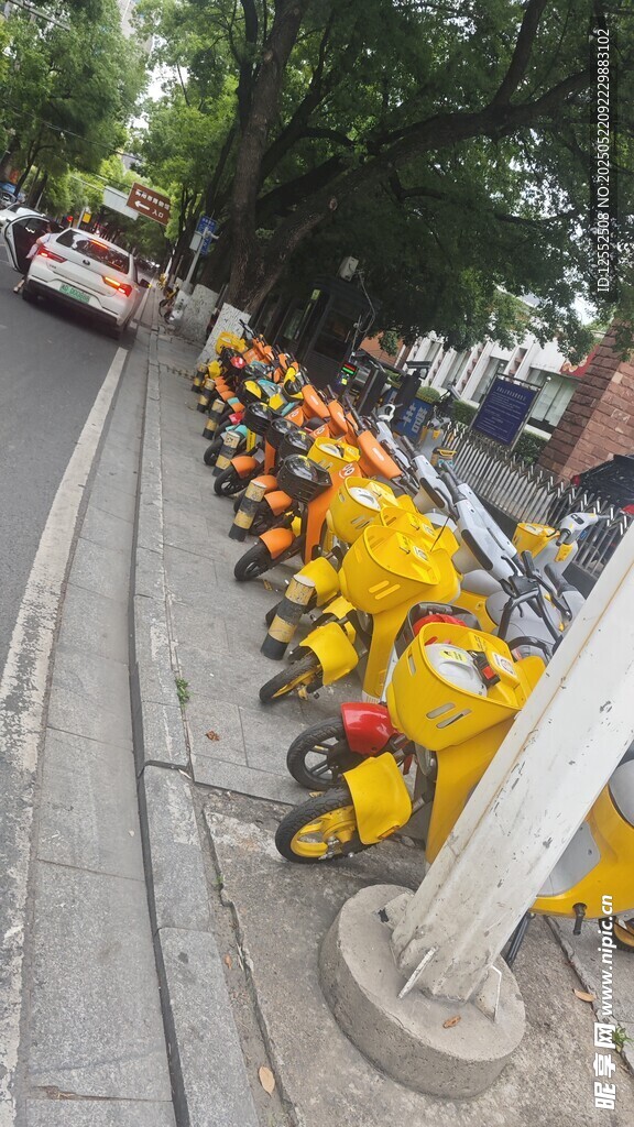 路边整齐停放的共享电动车