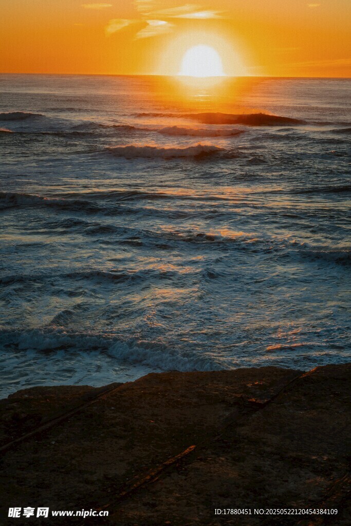 大海