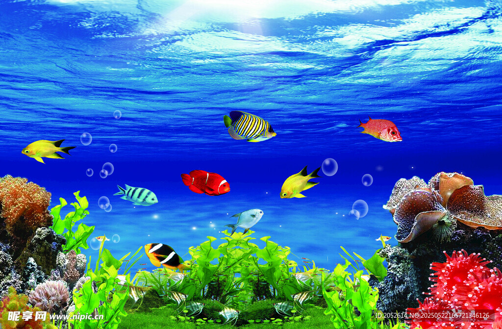 海底世界装饰画
