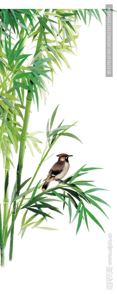 竹子小鸟