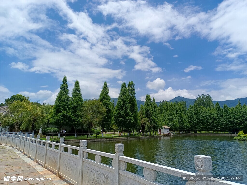 湖畔木栈道旁的葱郁树木