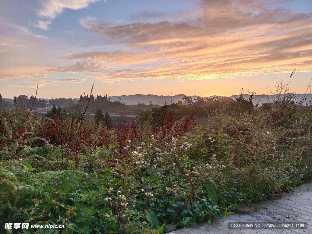 日落时分的田野小径美景