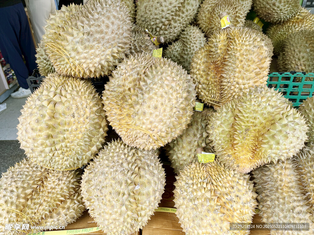 新鲜榴莲
