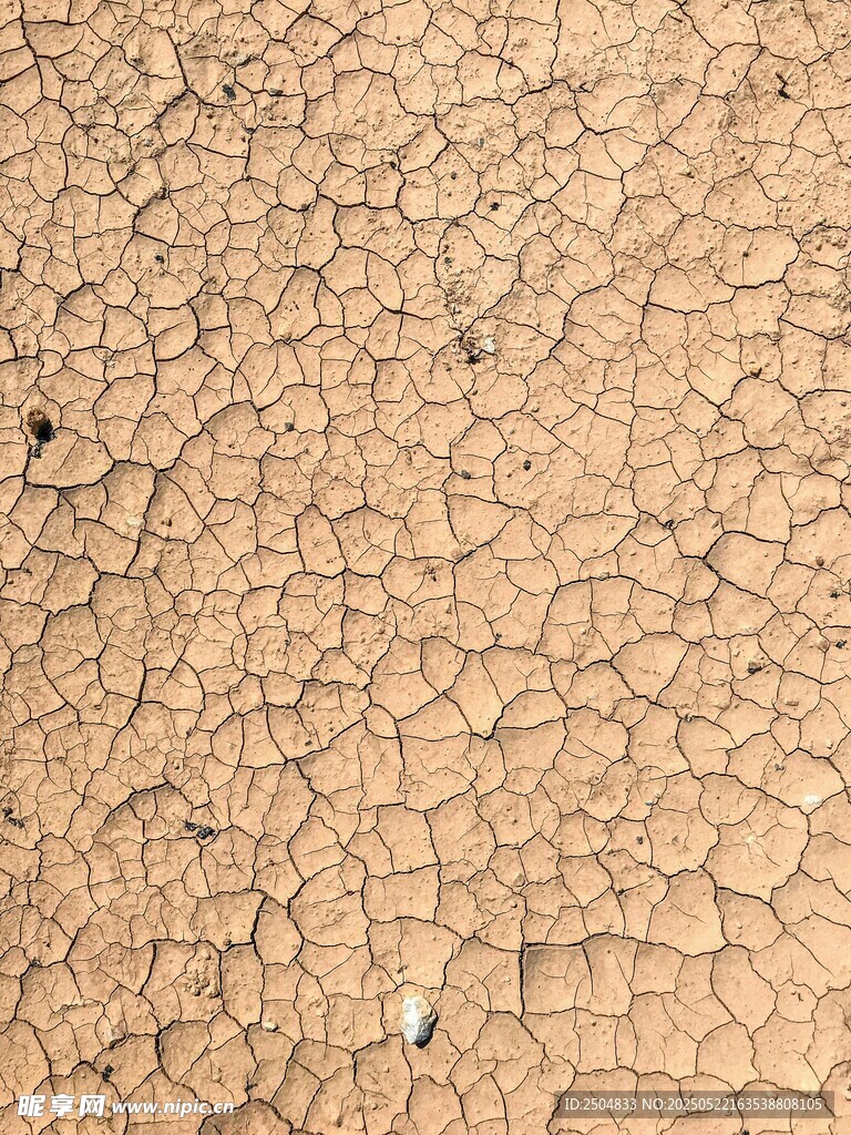 干裂的土地纹理特写