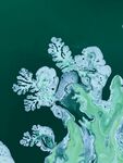 精美冰晶雪花微观景象