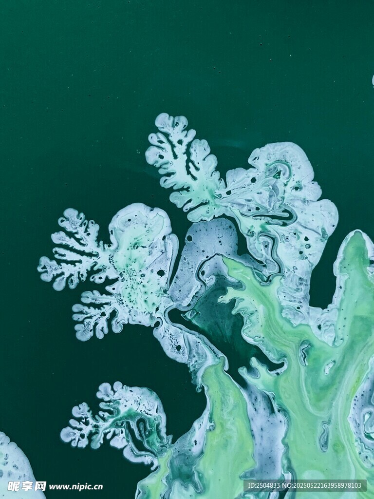 精美冰晶雪花微观景象