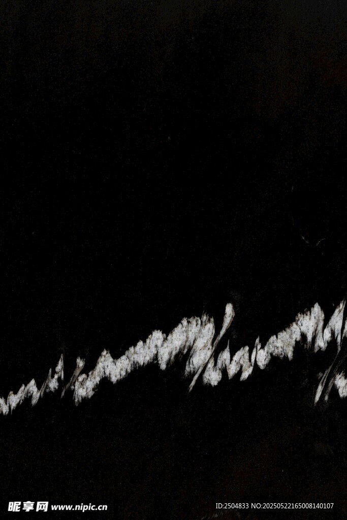 夜空中的飞鸟群影