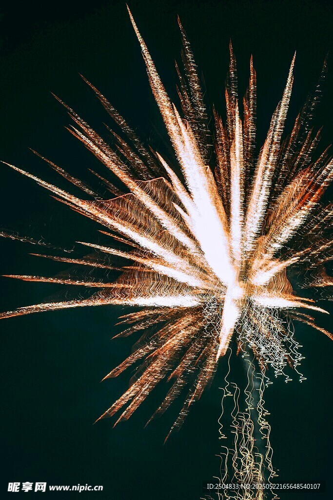 夜空中绚烂绽放的烟花