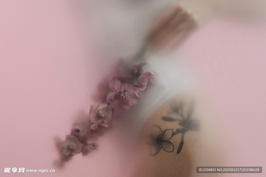 梦幻干花特写