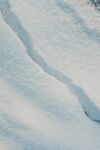 冬日雪面的优美纹理