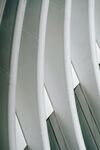 弧形白色建筑结构线条