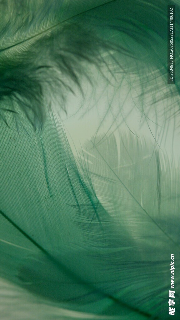 梦幻绿色薄纱纹理画面