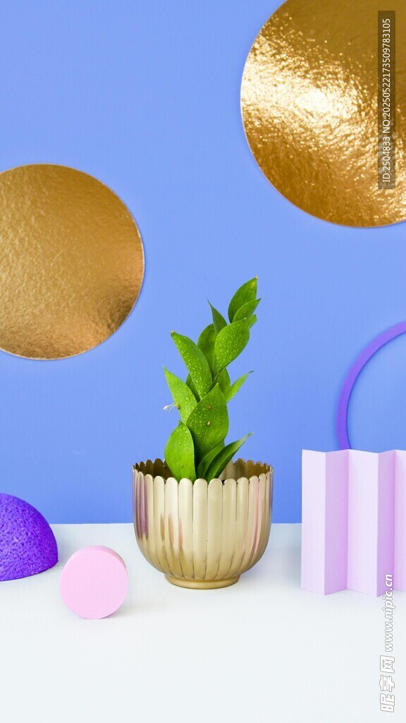 绿植与多彩装饰摆件组合