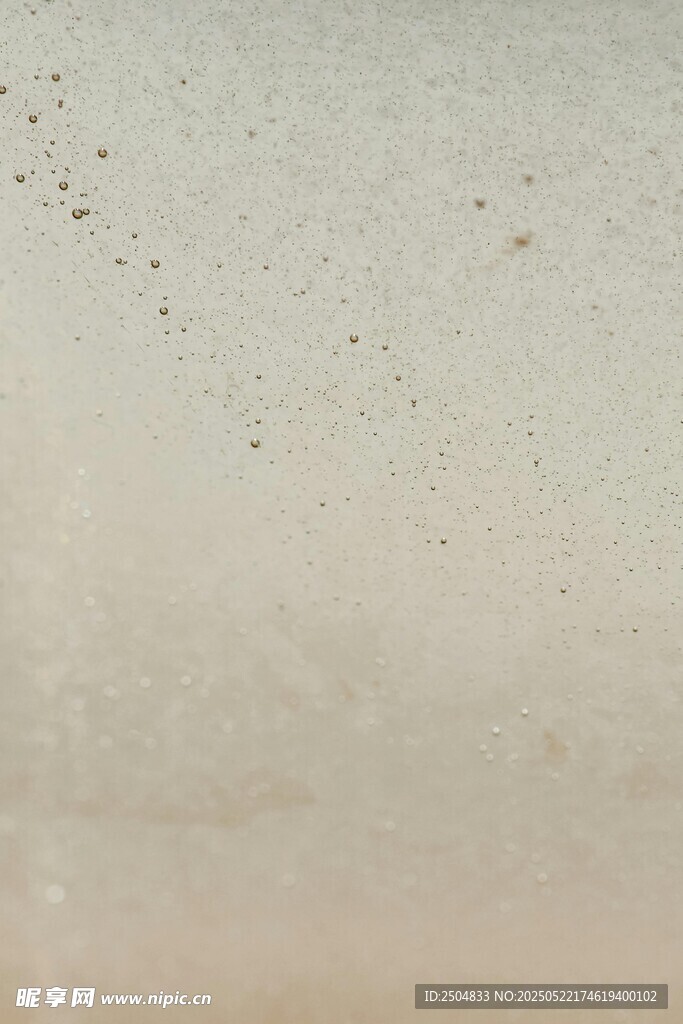 飞鸟在朦胧天空中飞翔