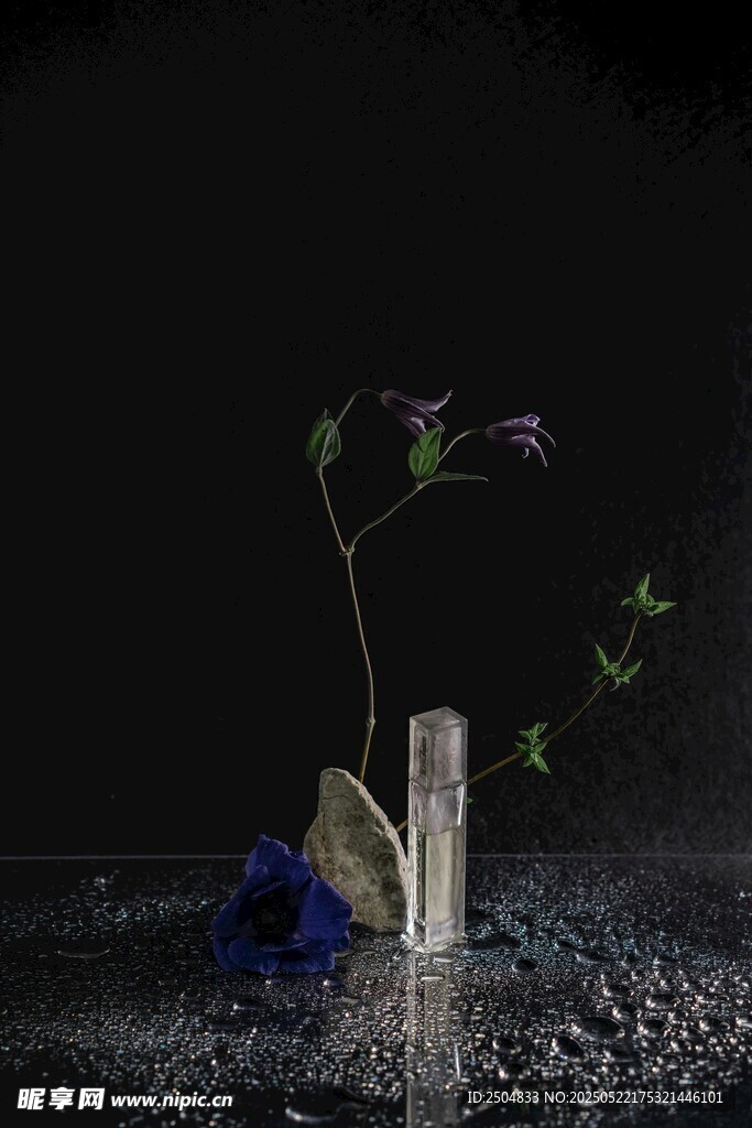 暗夜中的瓶花与水珠