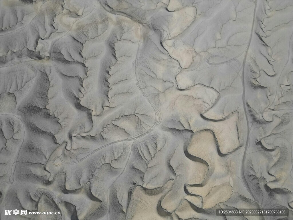 沙丘纹理特写