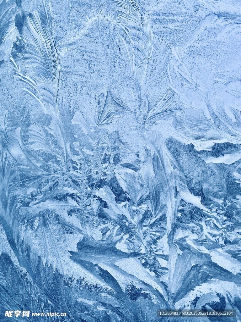 冬日窗上绝美冰花图案